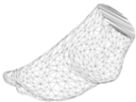 Shows a 3D scanned foot meshed
